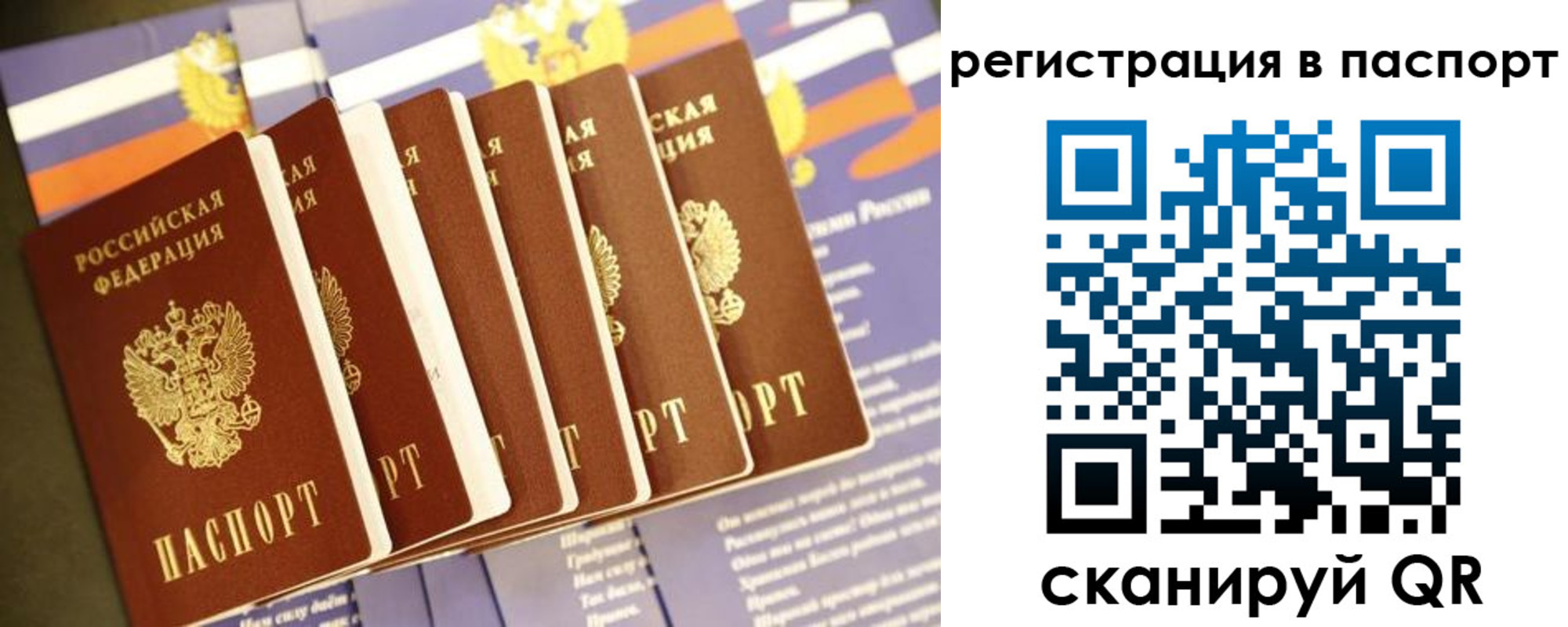 прописка ребенка в Ярославской области